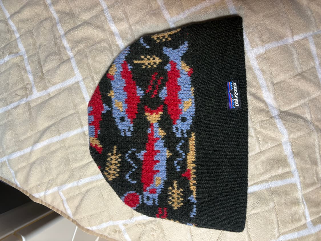 파타고니아 펀호그 비니 상품이미지1