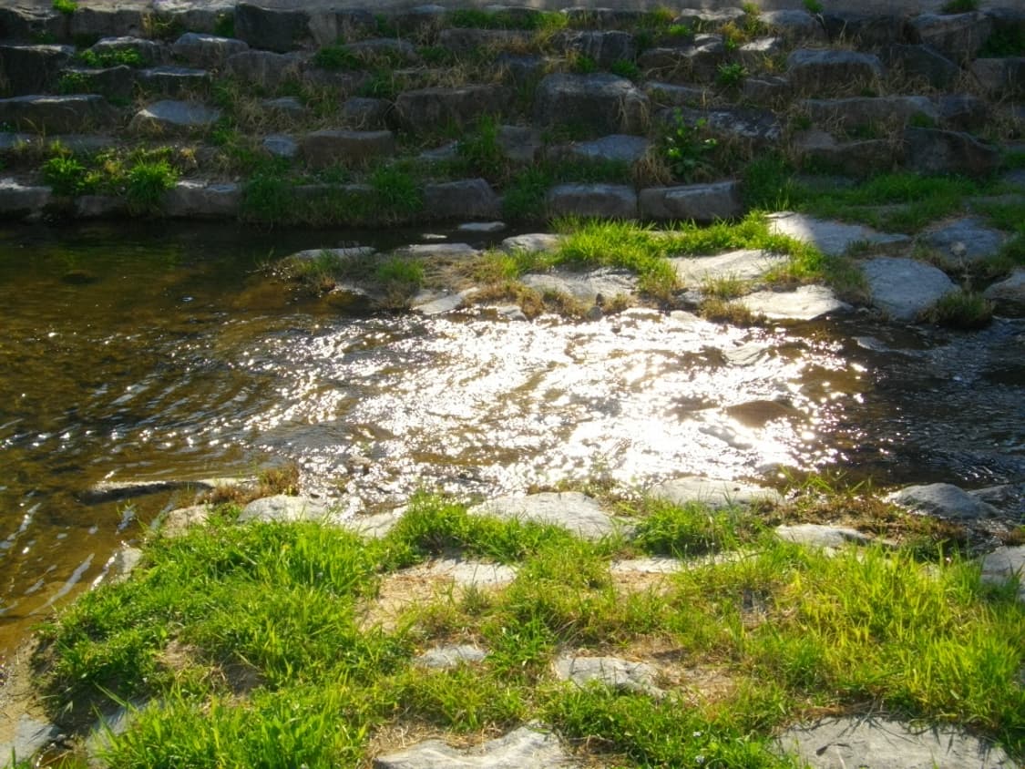 펜탁스 Optio E 60 상품이미지8