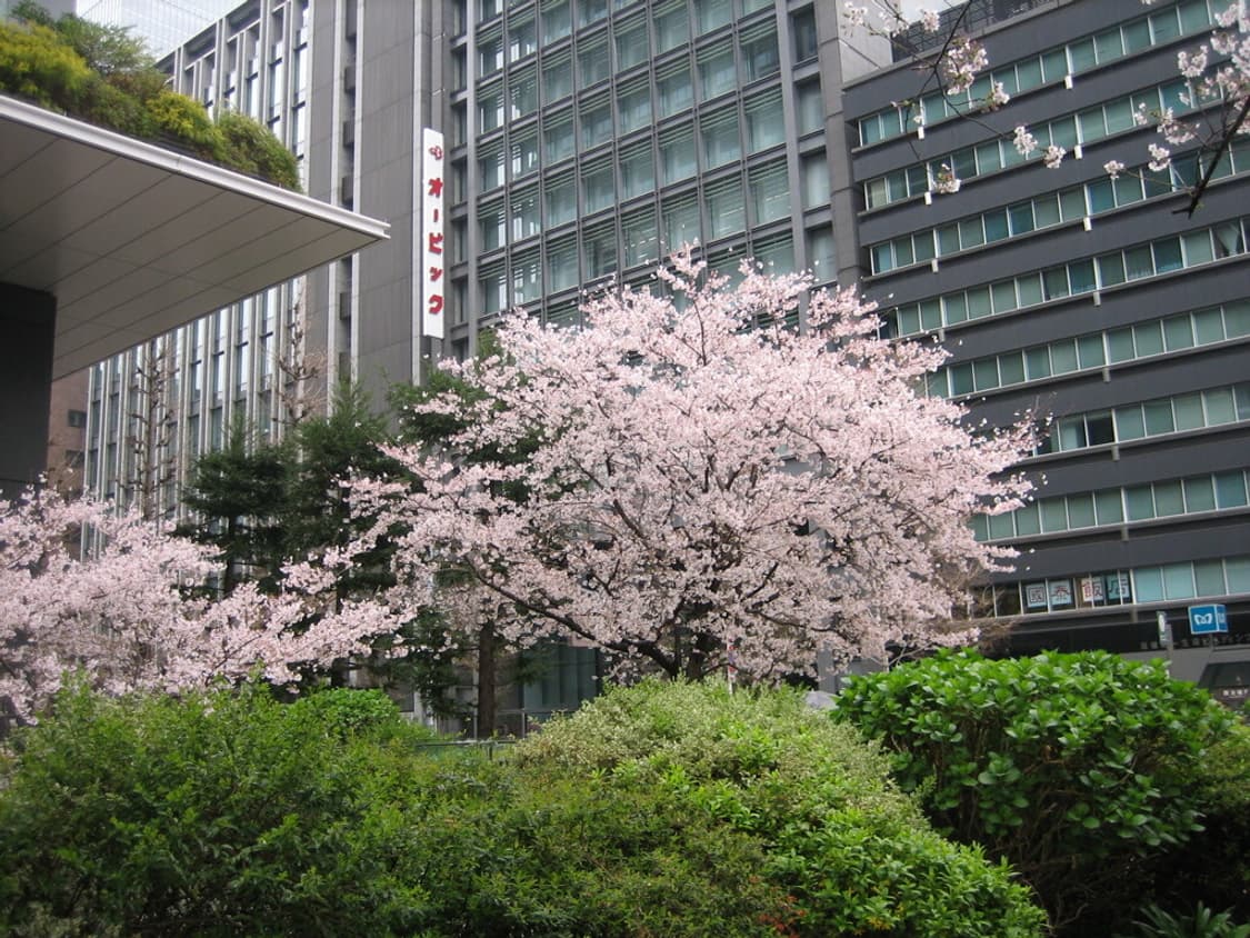 캐논 익서스 50 Canon IXUS 50 실버 상품이미지8