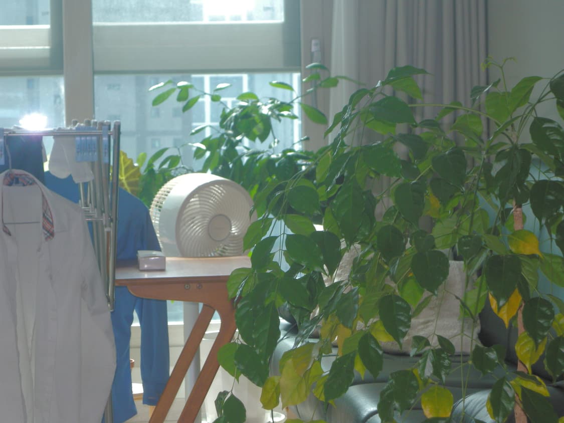 작례 O) 니콘 쿨픽스 p6000 빈티지 디카 상품이미지10