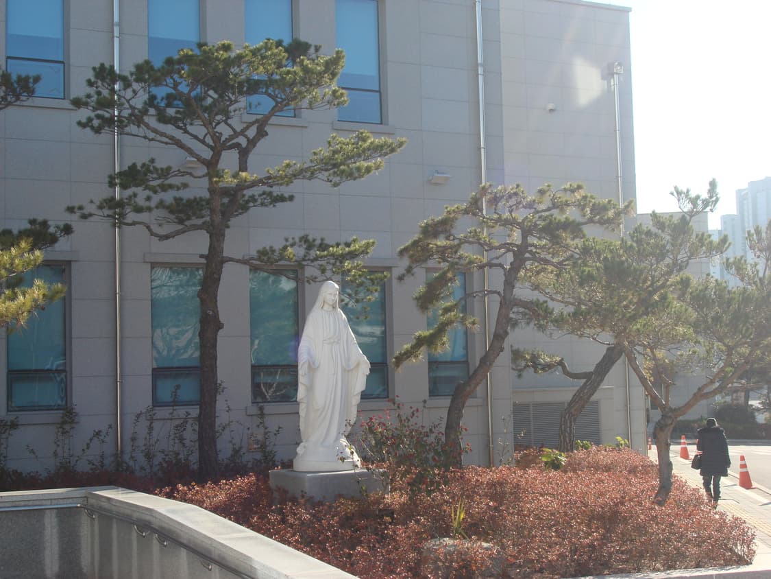 소니 사이버샷 n2 디카 상품이미지10