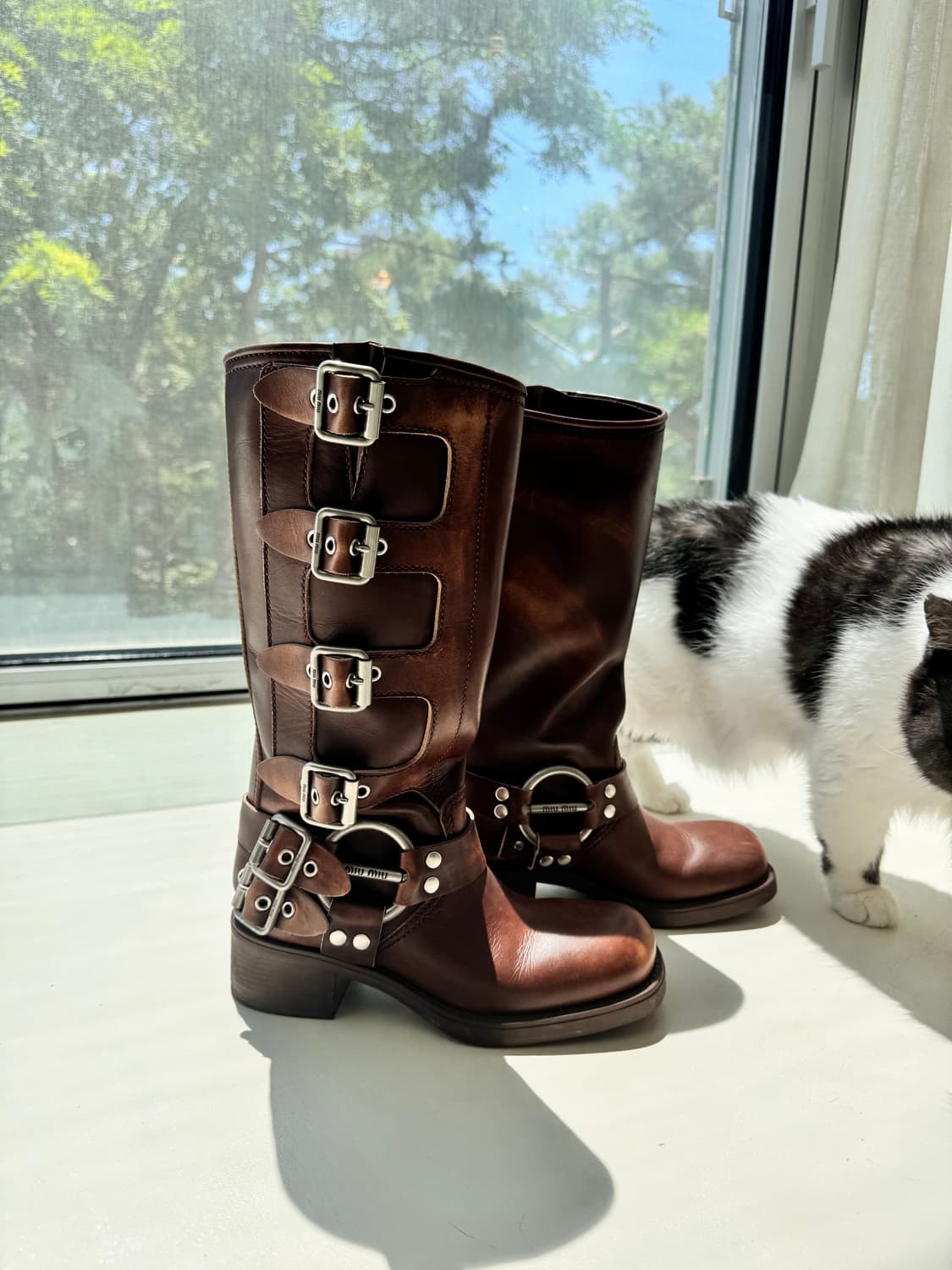 미우미우 라이더부츠 브라운 37.5 상품이미지1