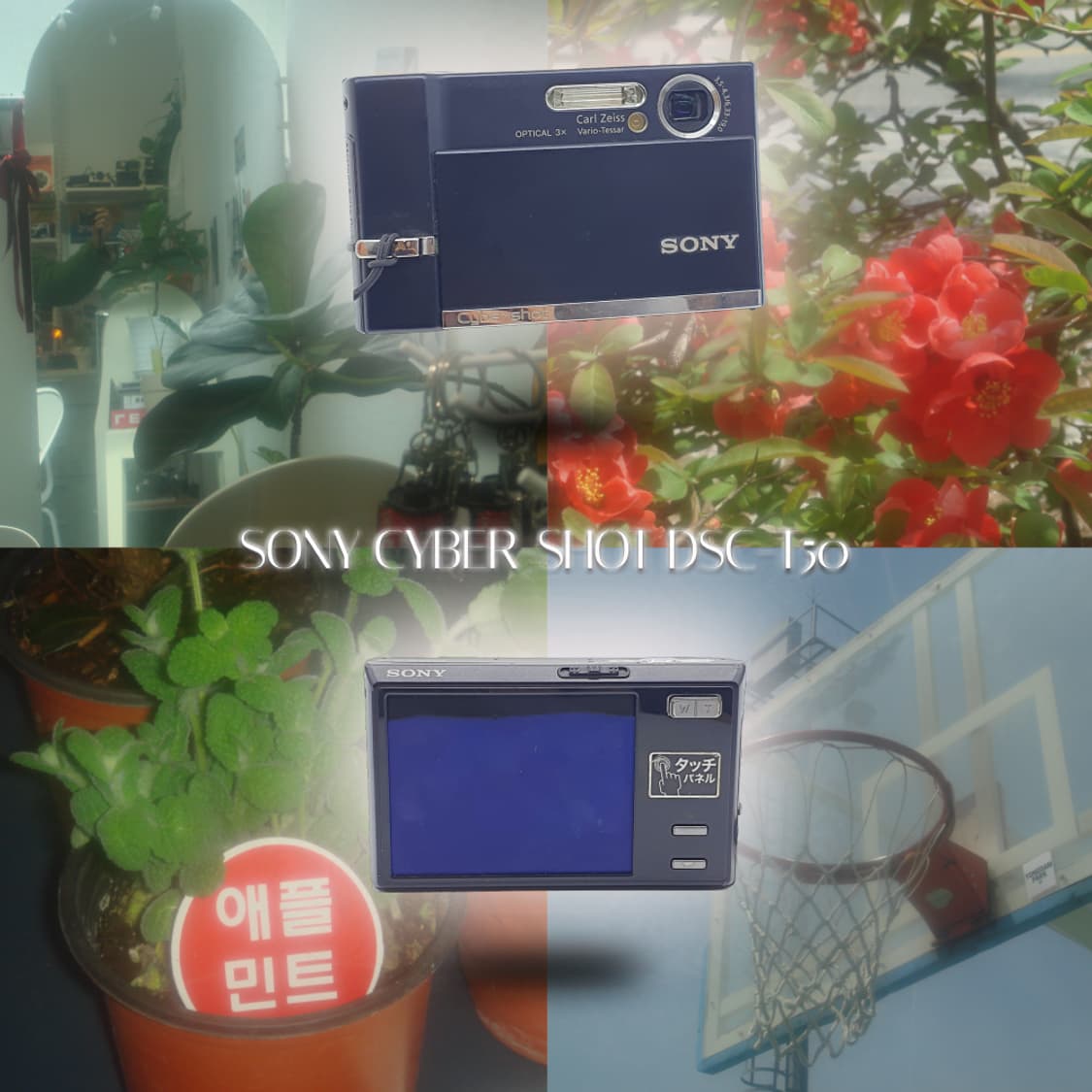 작례⭕️ 소니 사이버샷 DSC-T50 상품이미지1