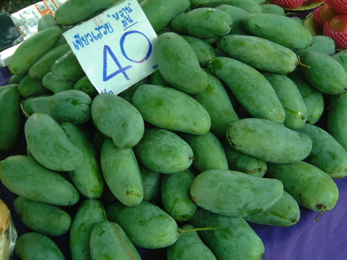 빈티지 디카의 정석! 후지 파인픽스 4700z 상품이미지4