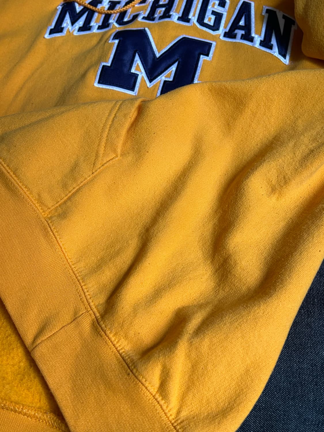 Champion Michigan Hoodie 상품이미지9