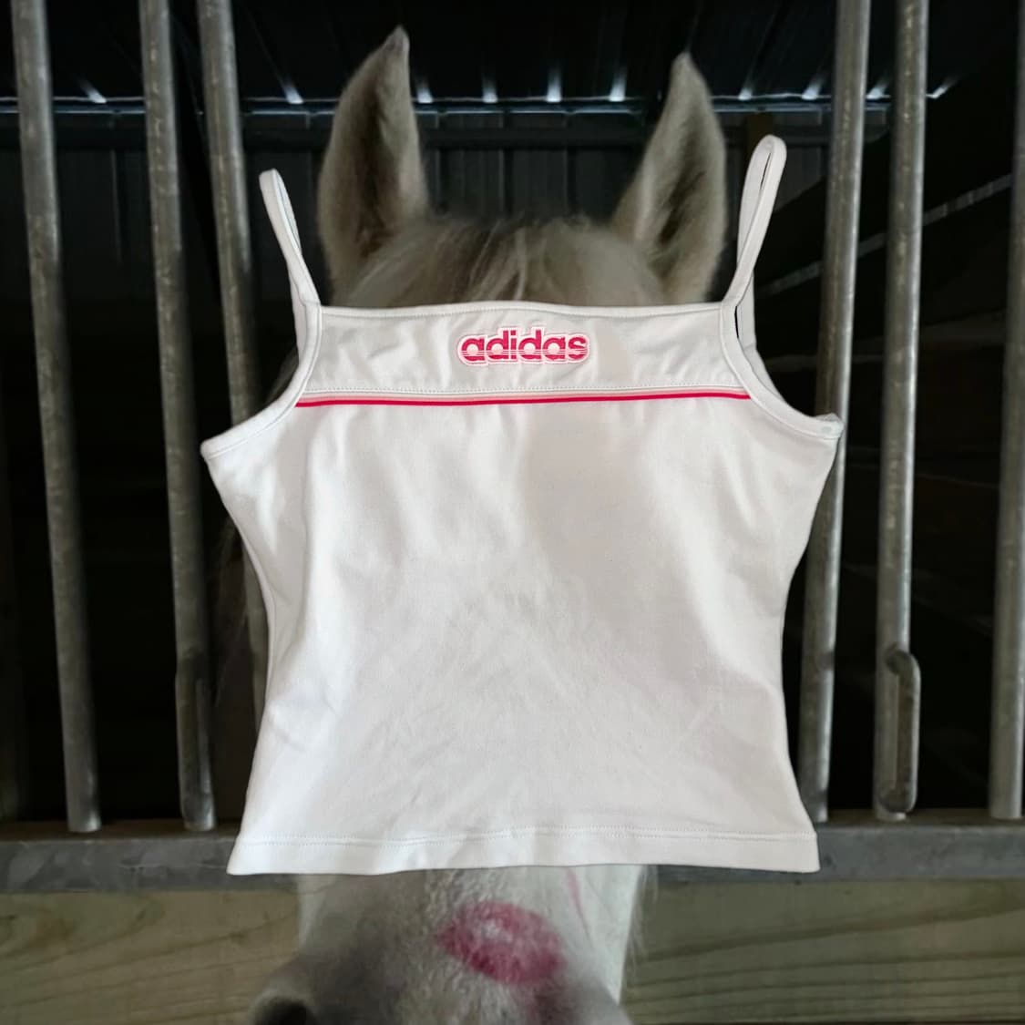 Adidas pinky top 상품이미지1