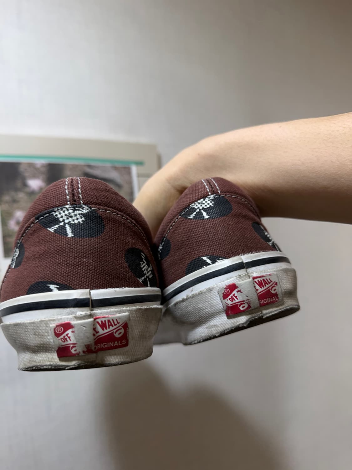 와코마리아 반스 브라운 280 상품이미지3