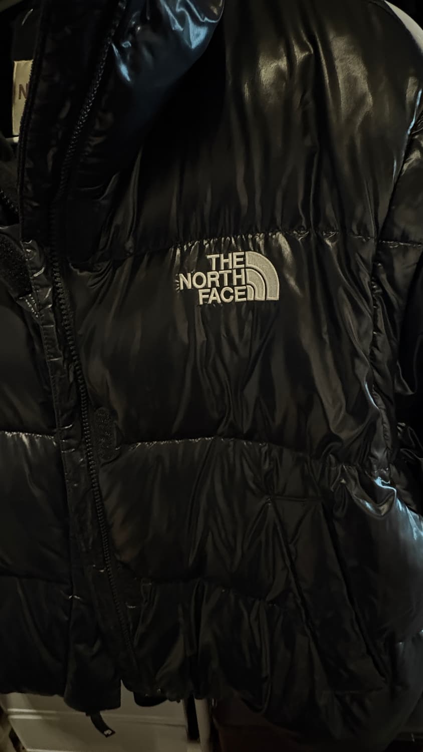 (L) w 노스페이스 화이트라벨 글로시 디태쳐블 다운자켓 / 패딩 상품이미지2