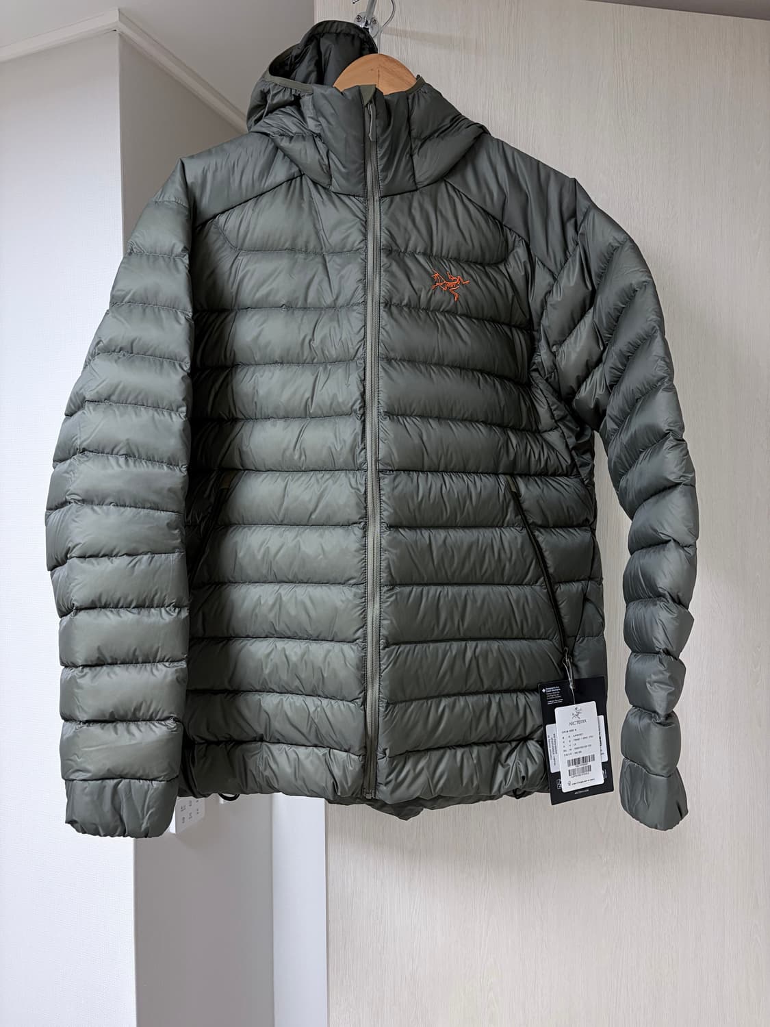 아크테릭스 세륨 포리지베르베 L 새상품 상품이미지1