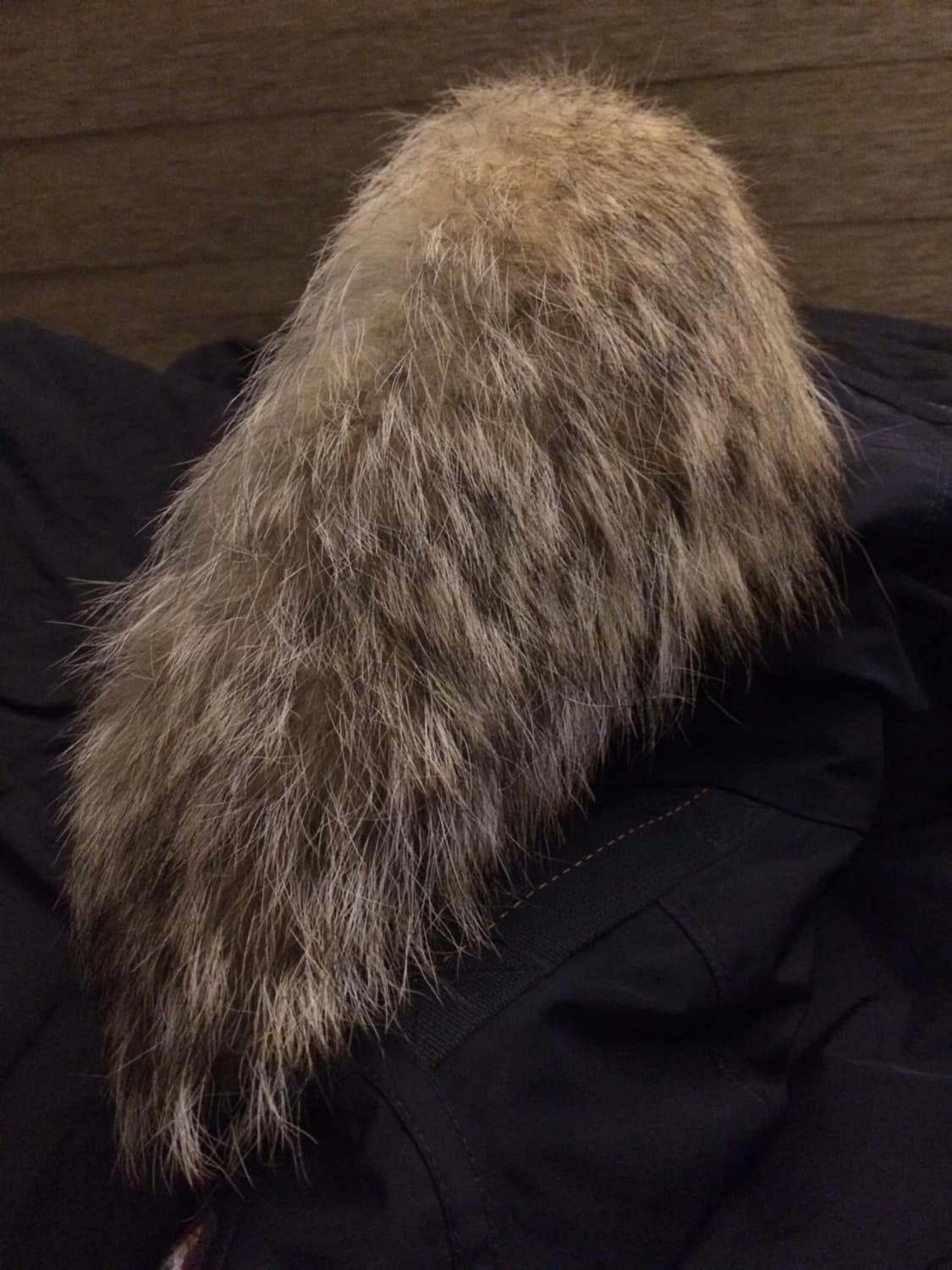 파라점퍼스 고비 마스터피스 L 상품이미지3