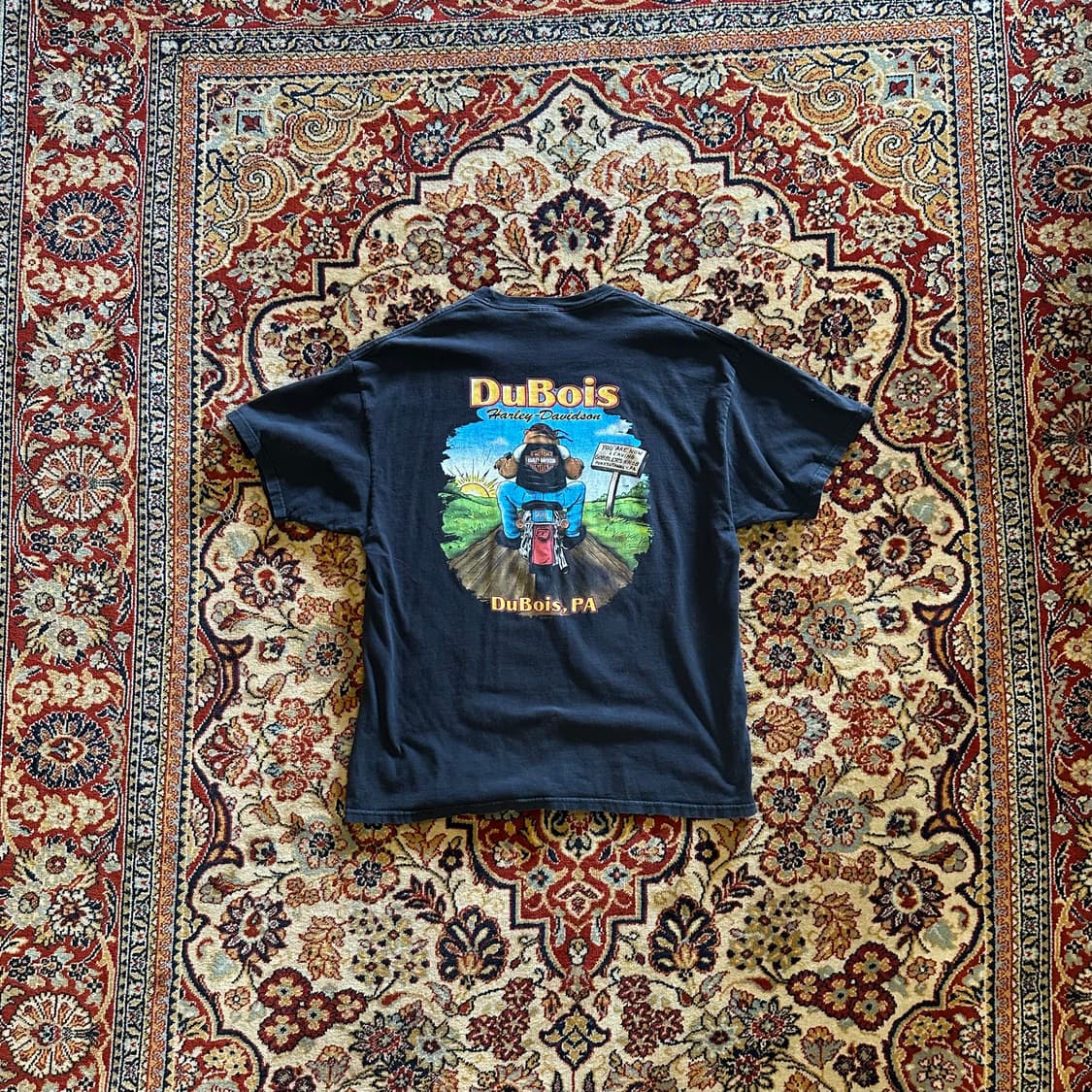 00s harley DuBois Punxsutawney Phil 상품이미지7