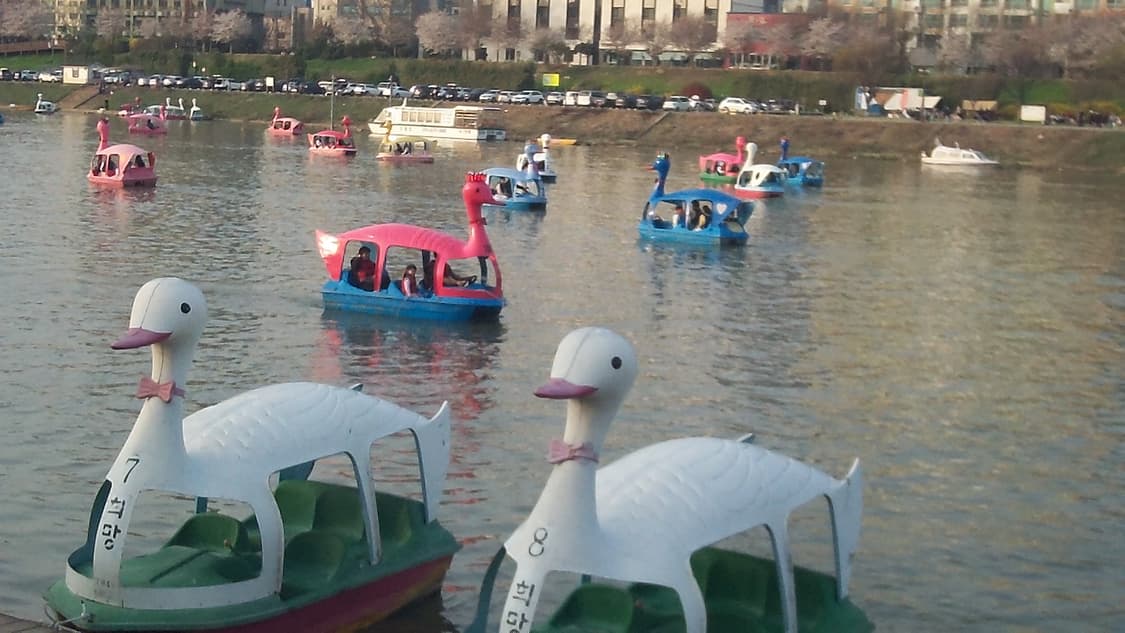 코닥 플레이터치 zi10 상품이미지7