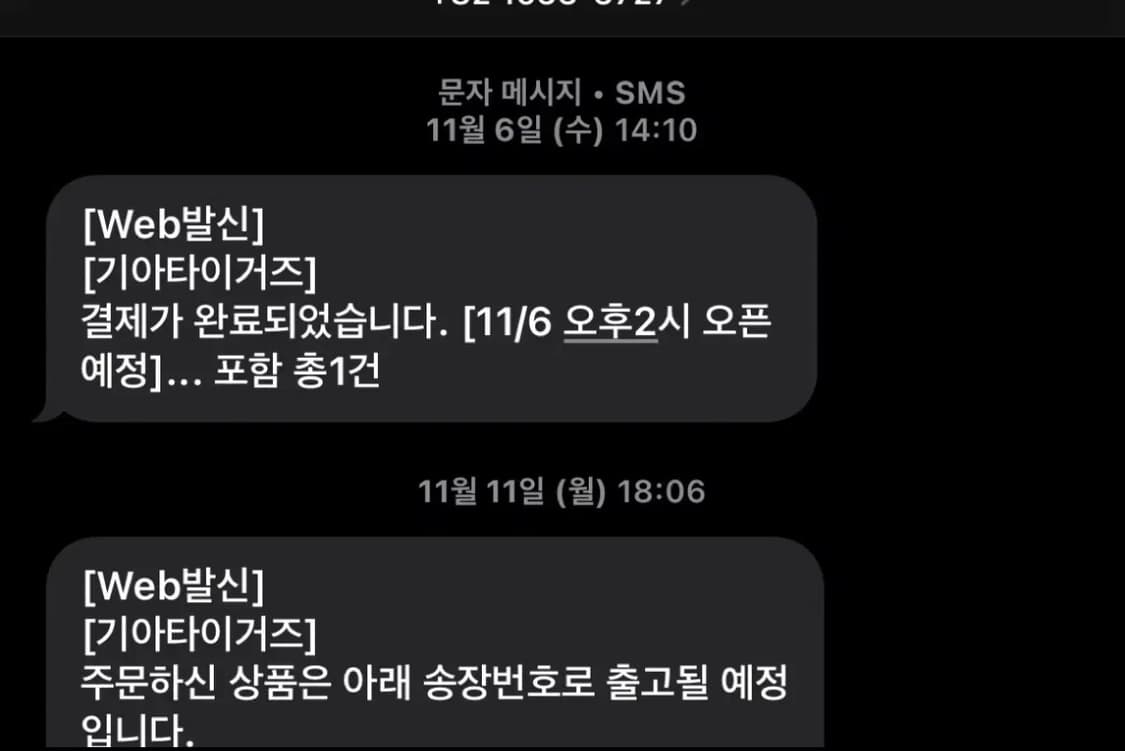 새상품) 아이앱 스튜디오 x 기아 타이거즈 V12 후드 브라운 상품이미지3