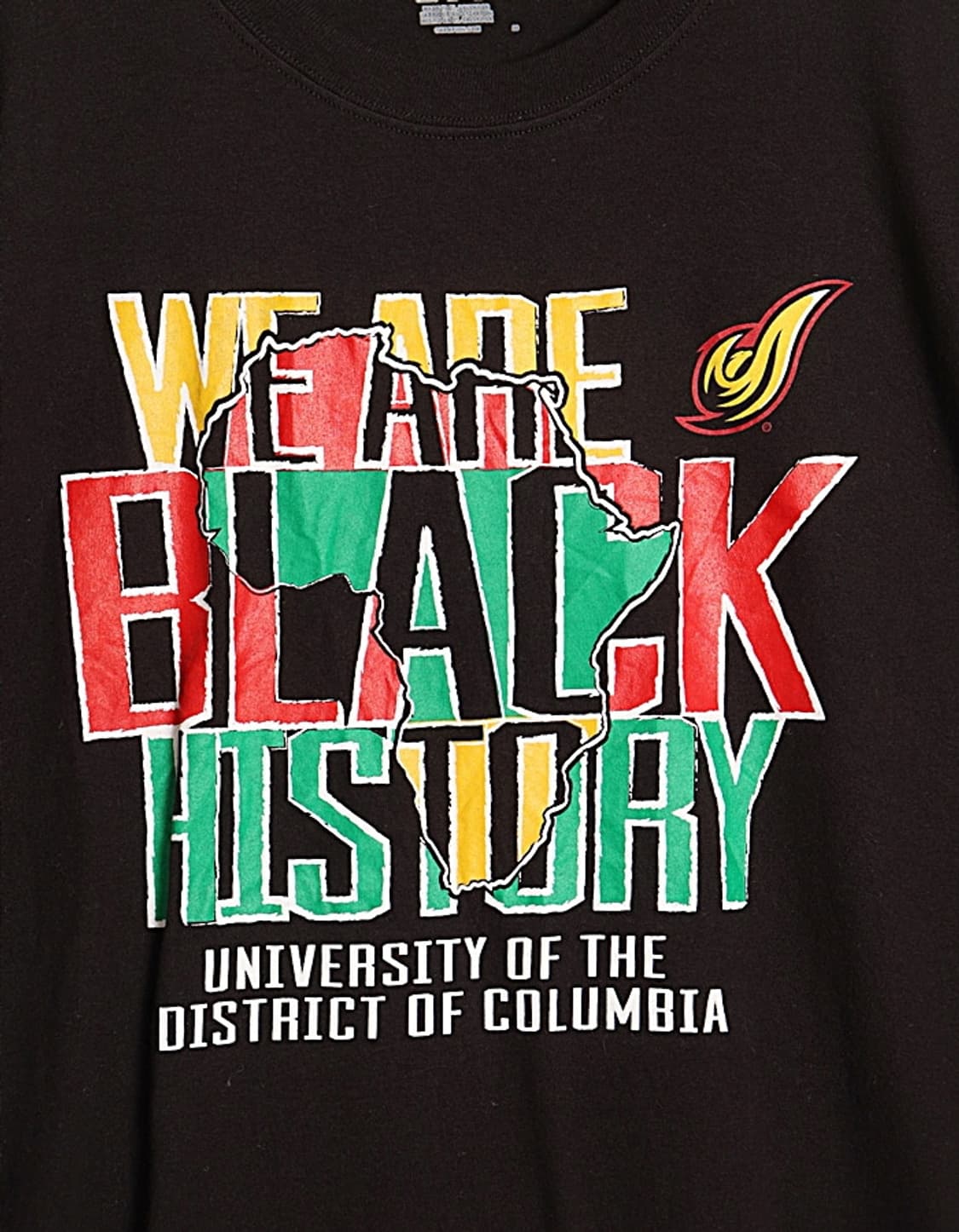 Champion Print L/S 3XL 상품이미지2