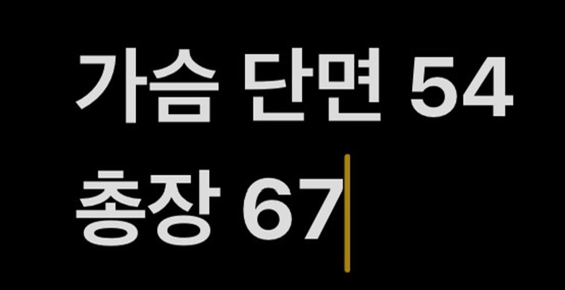 [ 정품/M ] 디스이즈네버댓 브이넥 니트 조끼 b10 상품이미지6