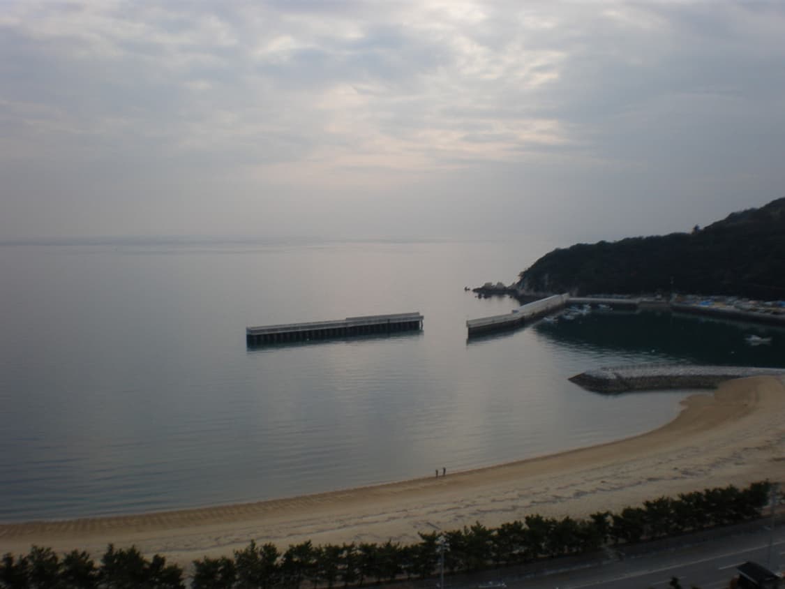올림푸스 Olympus X-875 블랙 상품이미지5