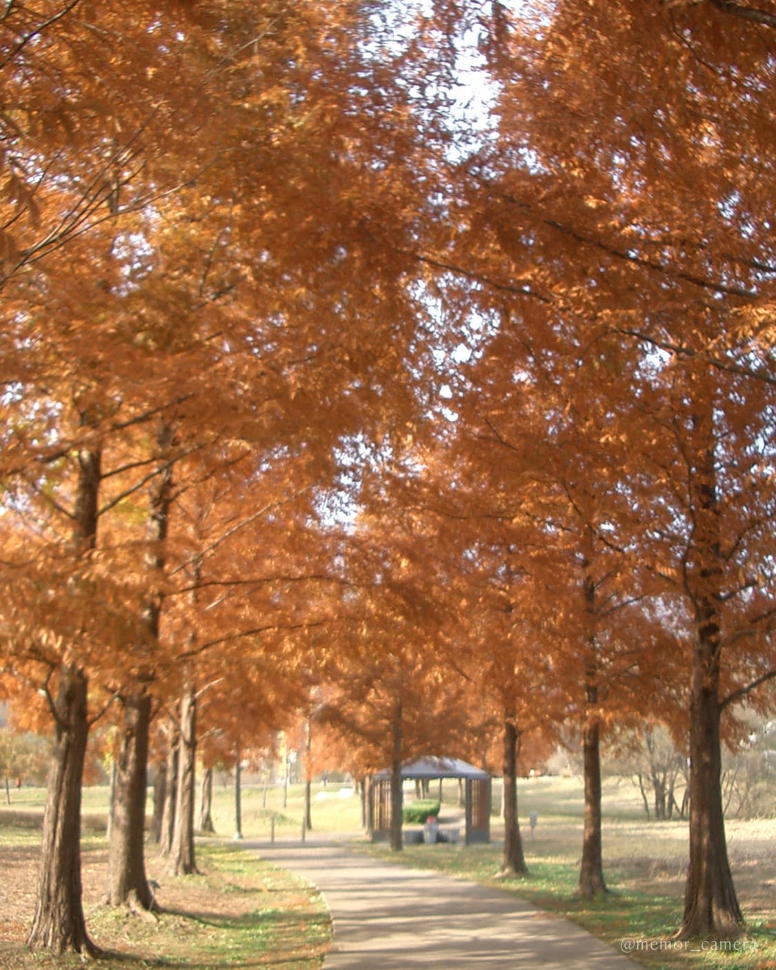 블러리 필카느낌 작례☁️ CASIO EX-Z3 카시오 디카 카메라 상품이미지9