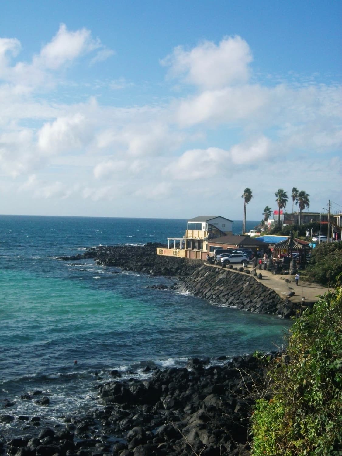 (필름느낌!🫧작례o) 후지필름 A220 | Fujifilm A220 상품이미지3