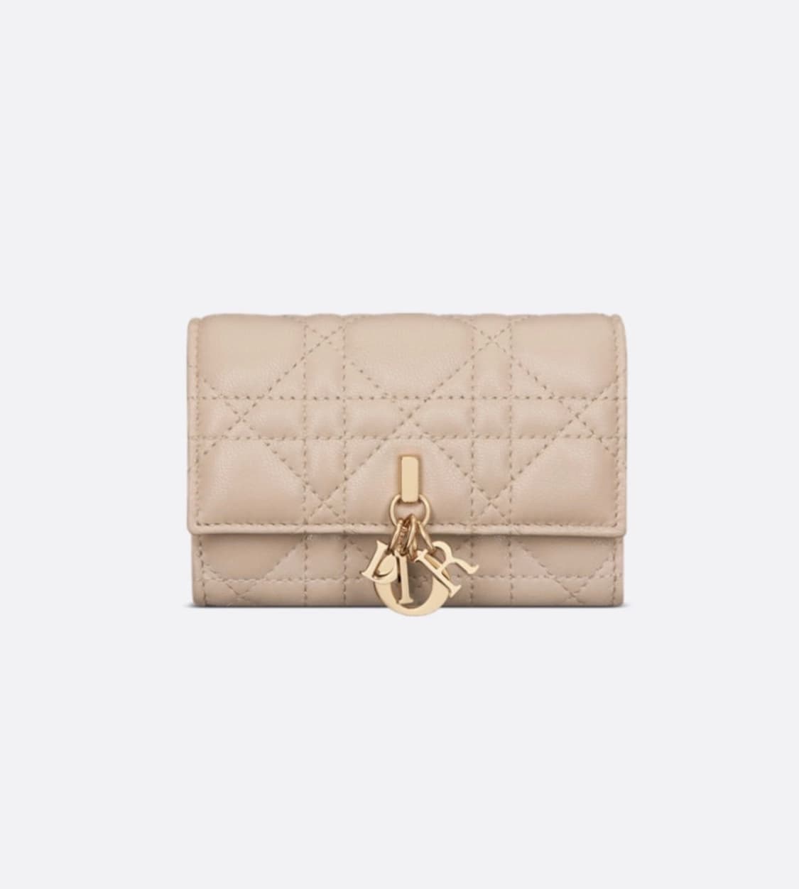 디올 카드 지갑 상품이미지1