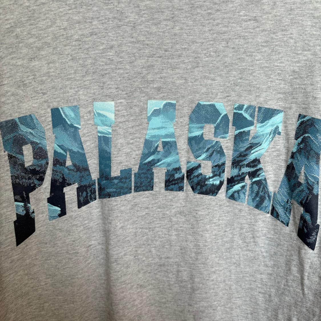 [XL]팔라스 팔라스카 티셔츠 상품이미지3