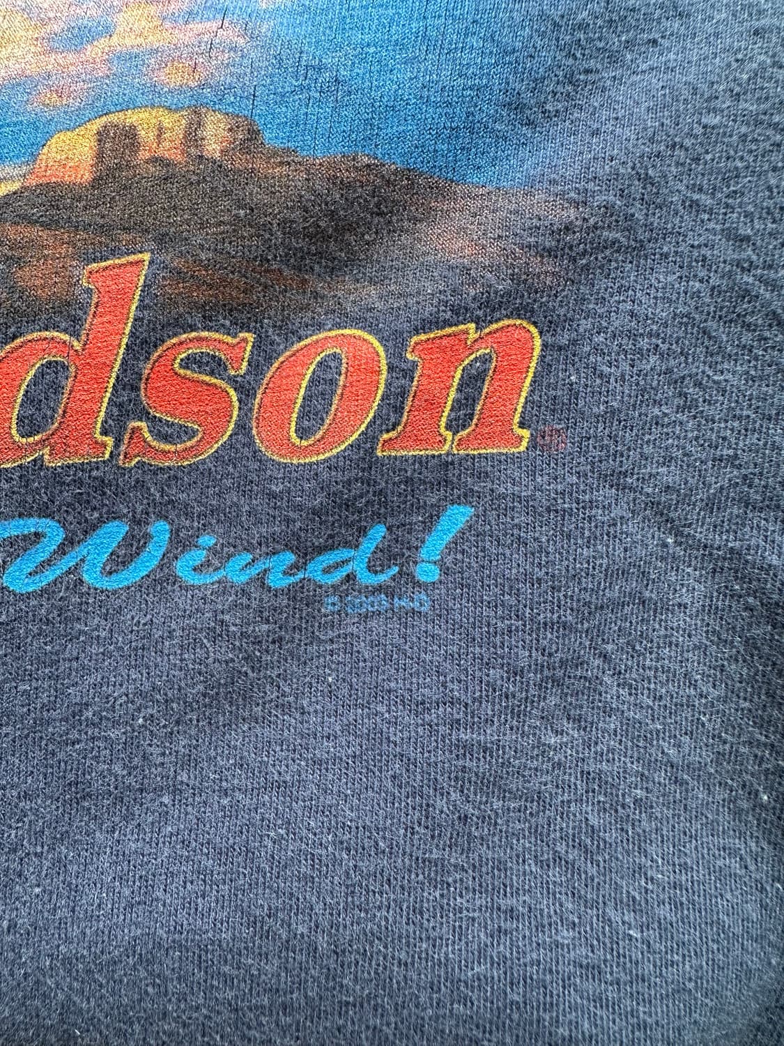 Harley davidson “Ride with the Wind” 2XL 상품이미지7