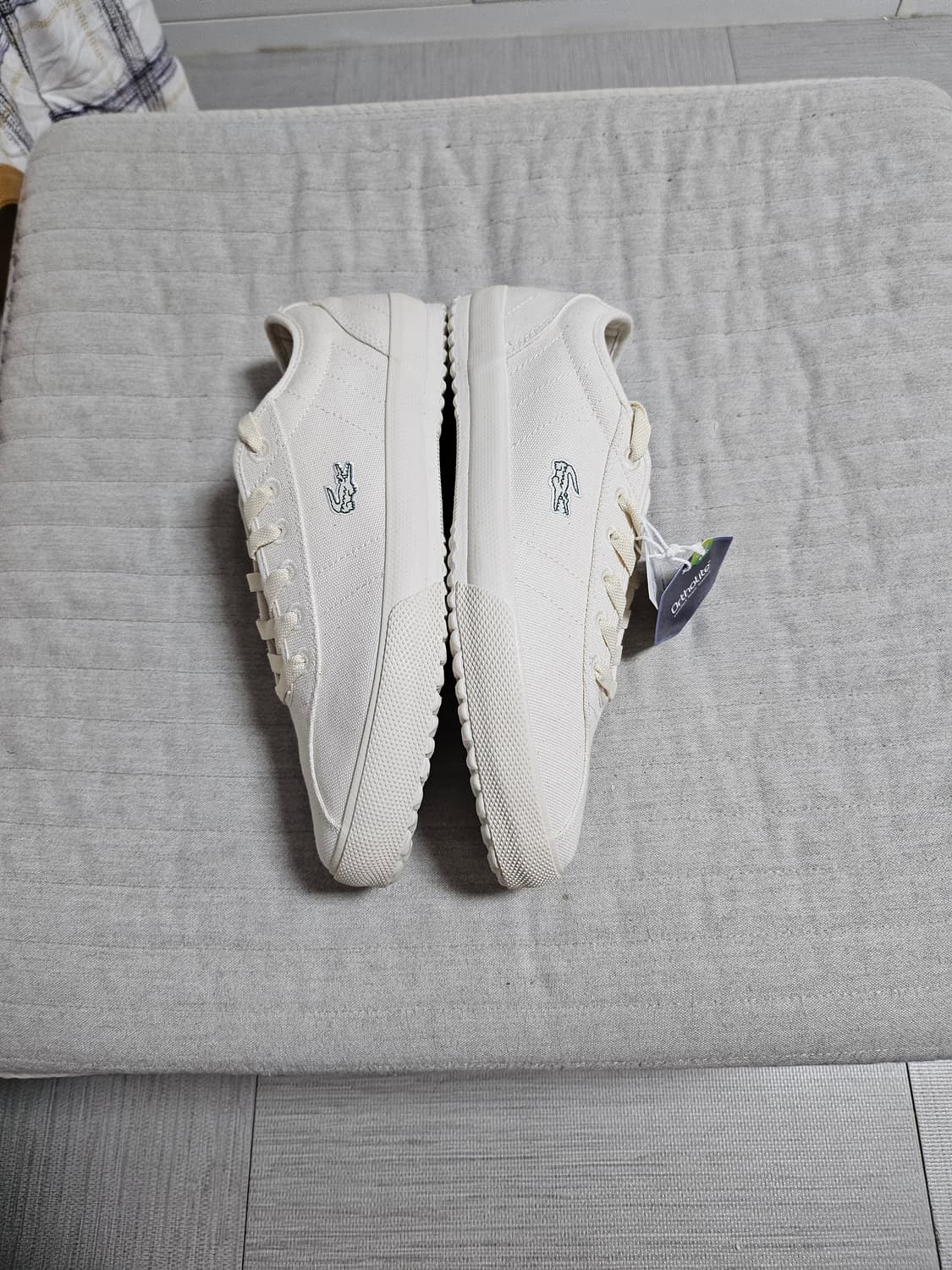 라코스테270  상품이미지1