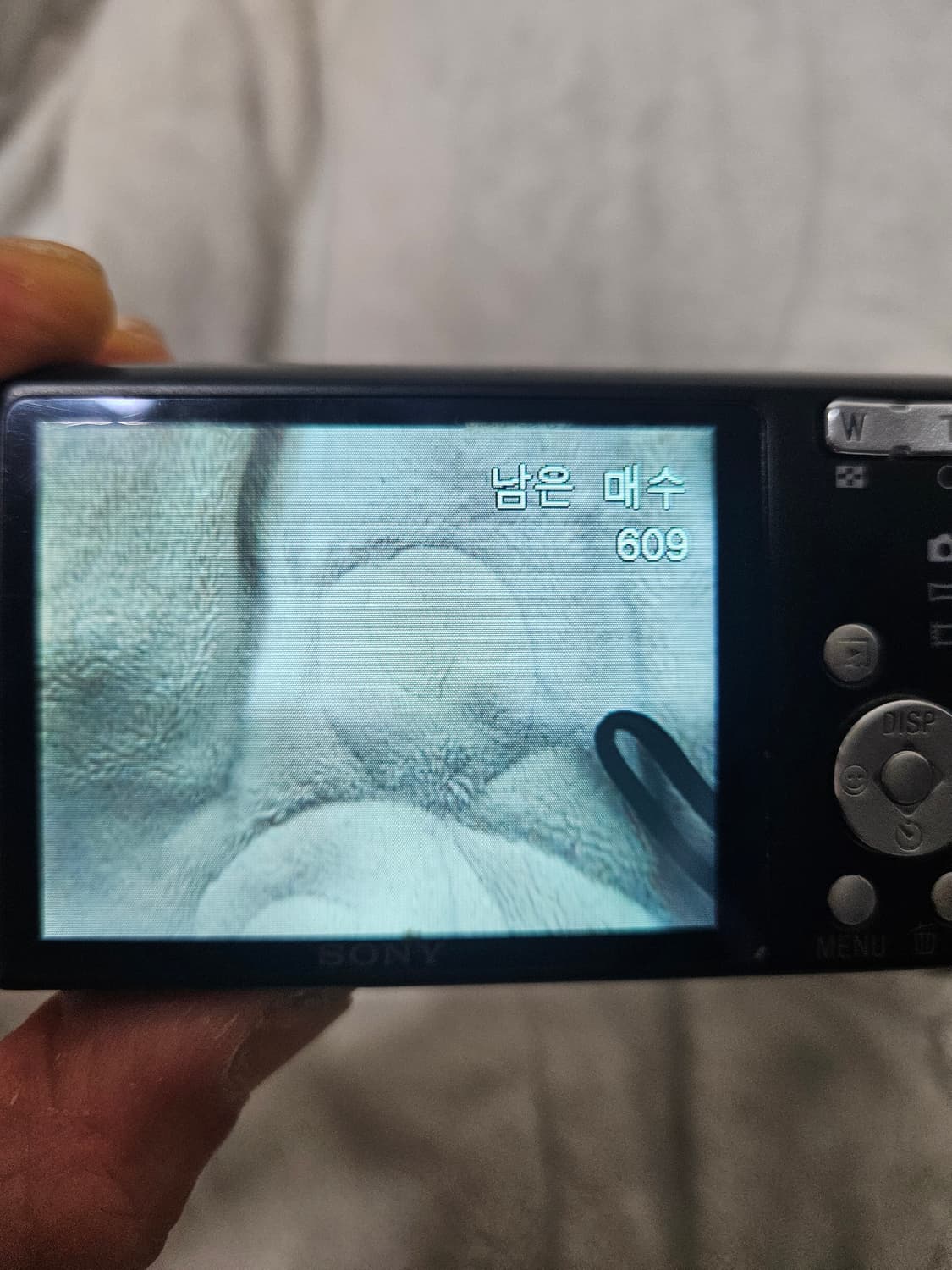 소니 사이버샷 dsc-w610 레트로 디카 빈티지 카메라 상품이미지6