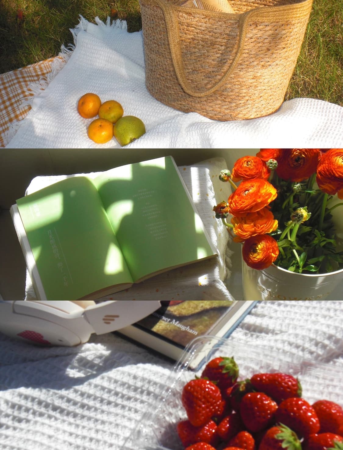 카시오 엑슬림 z80 CASIO EXILIM Z80 빈티지 디카 상품이미지2