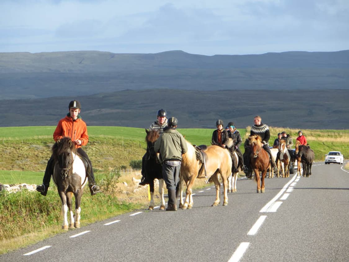 Fujifilm FinePix F20 (후지필름 파인픽스 F20) 상품이미지10