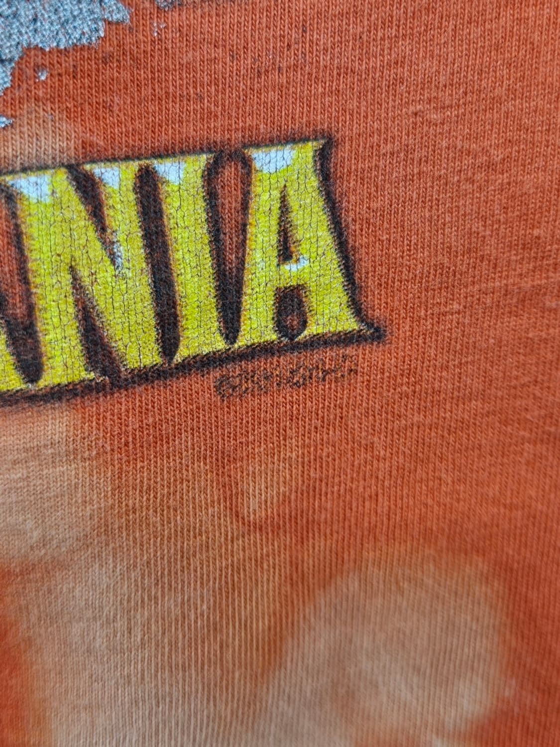 할리데이비슨 빈티지 반팔 티셔츠 다잉커스텀 ( L ) / 11924 상품이미지10