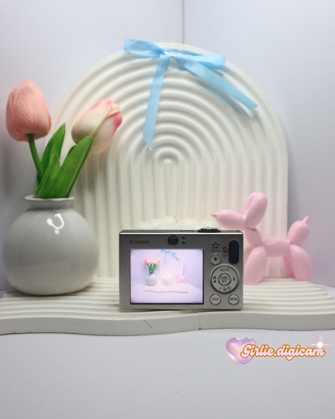 *인프루언서디카*캐논 익서스 70/ 익시 10 필름색감 끝판왕(직접체험) 상품이미지5