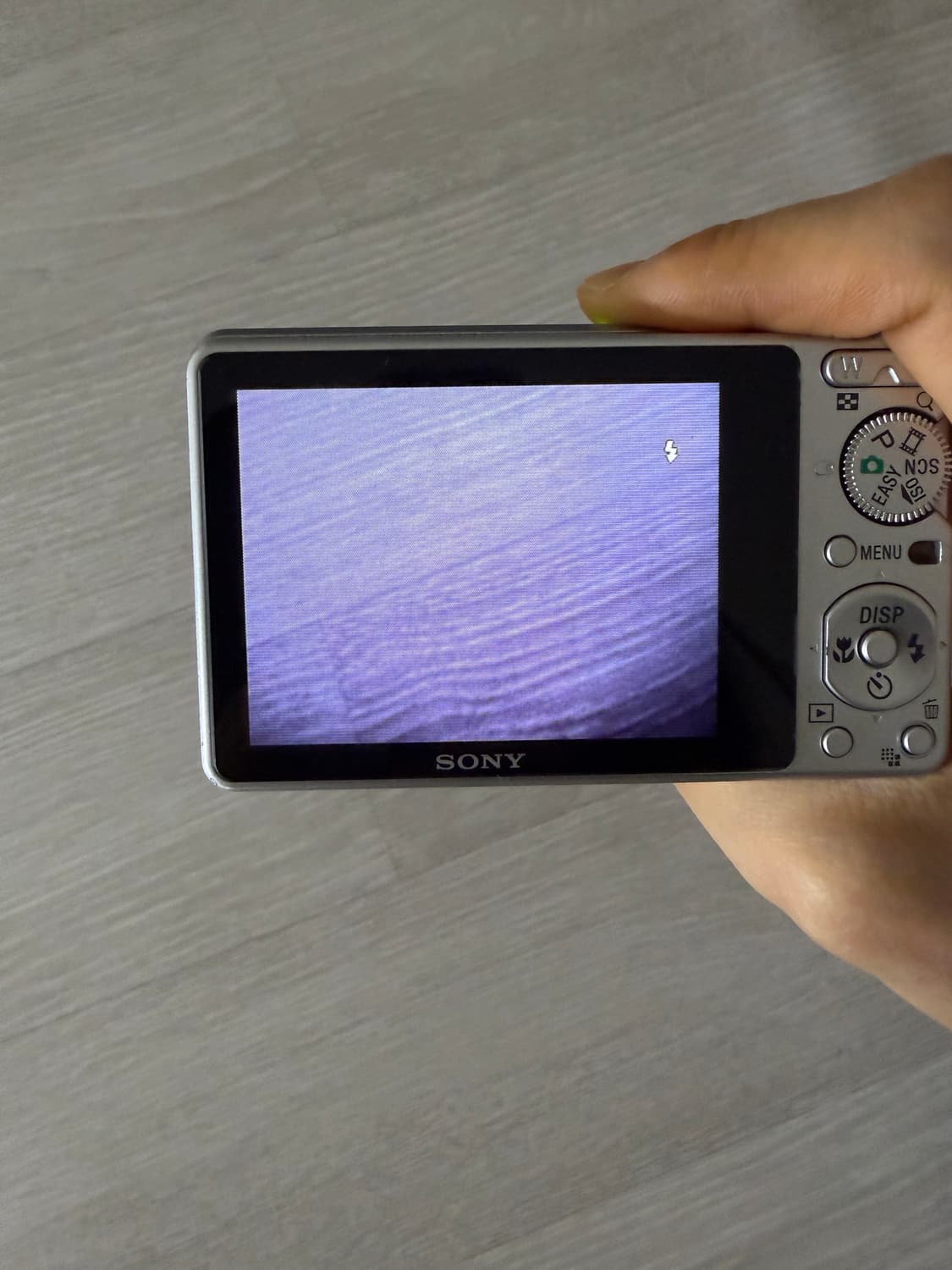 소니 사이버샷 DSC S950 상품이미지7