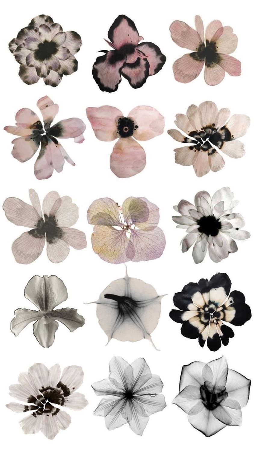 개인결제창 상품이미지1