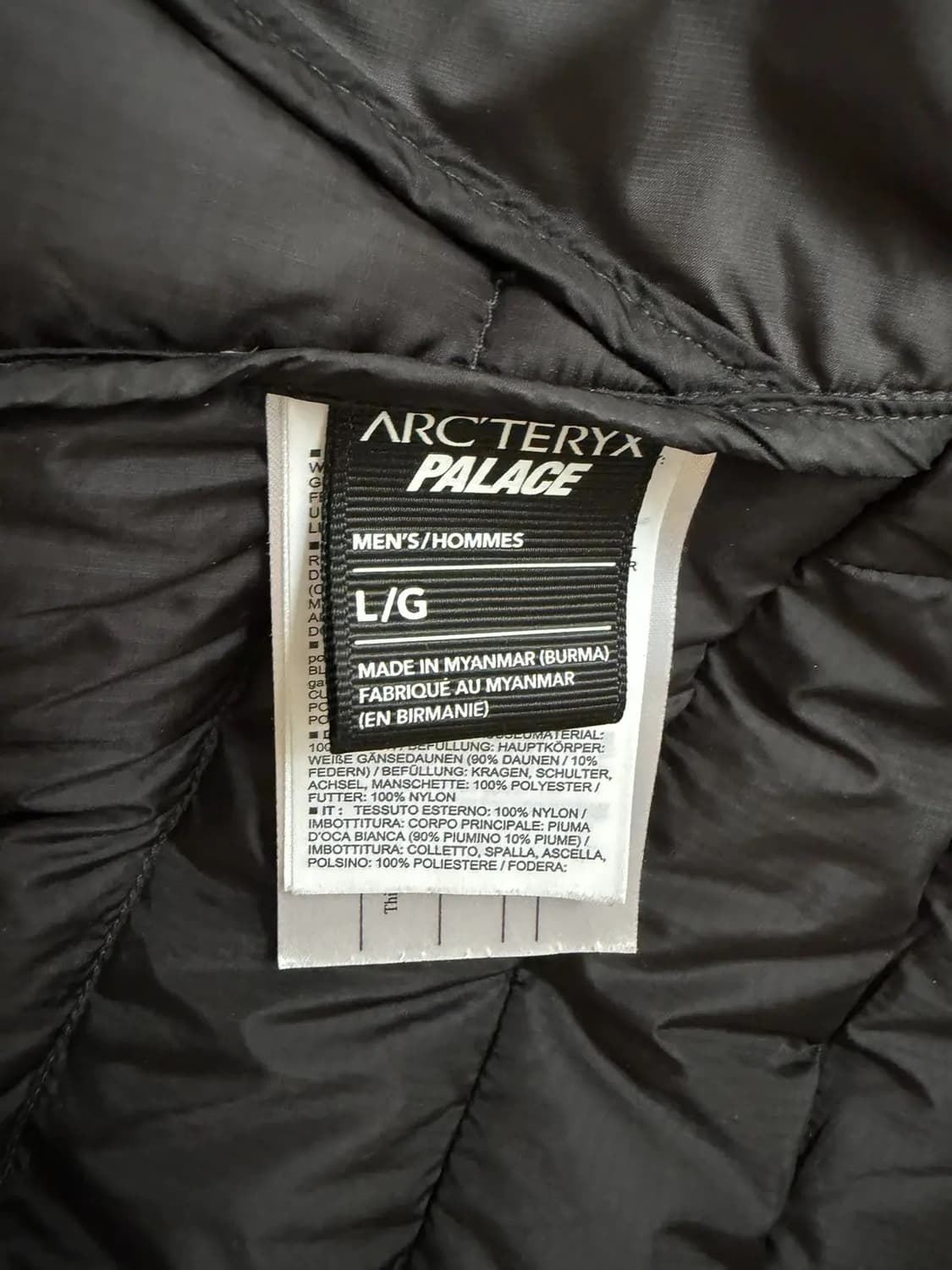 L 아크테릭스 x 팔라스 세륨 LT 후디 패딩 자켓 상품이미지4
