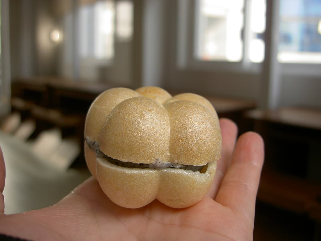 미놀타 디미지 G500 상품이미지6