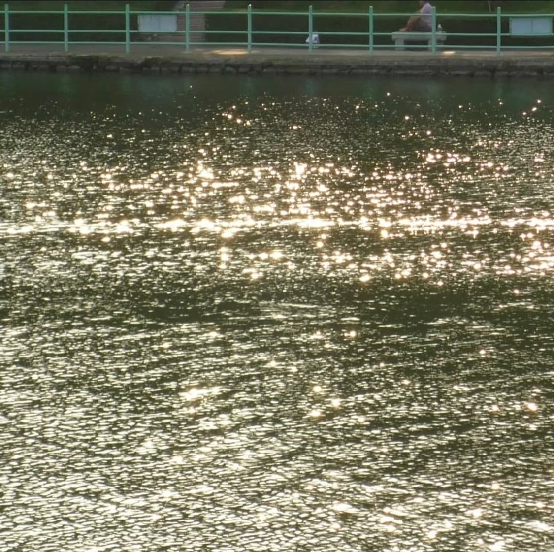 미품🩷루믹스 DMC-FS6 핑크 ✨ 상품이미지10