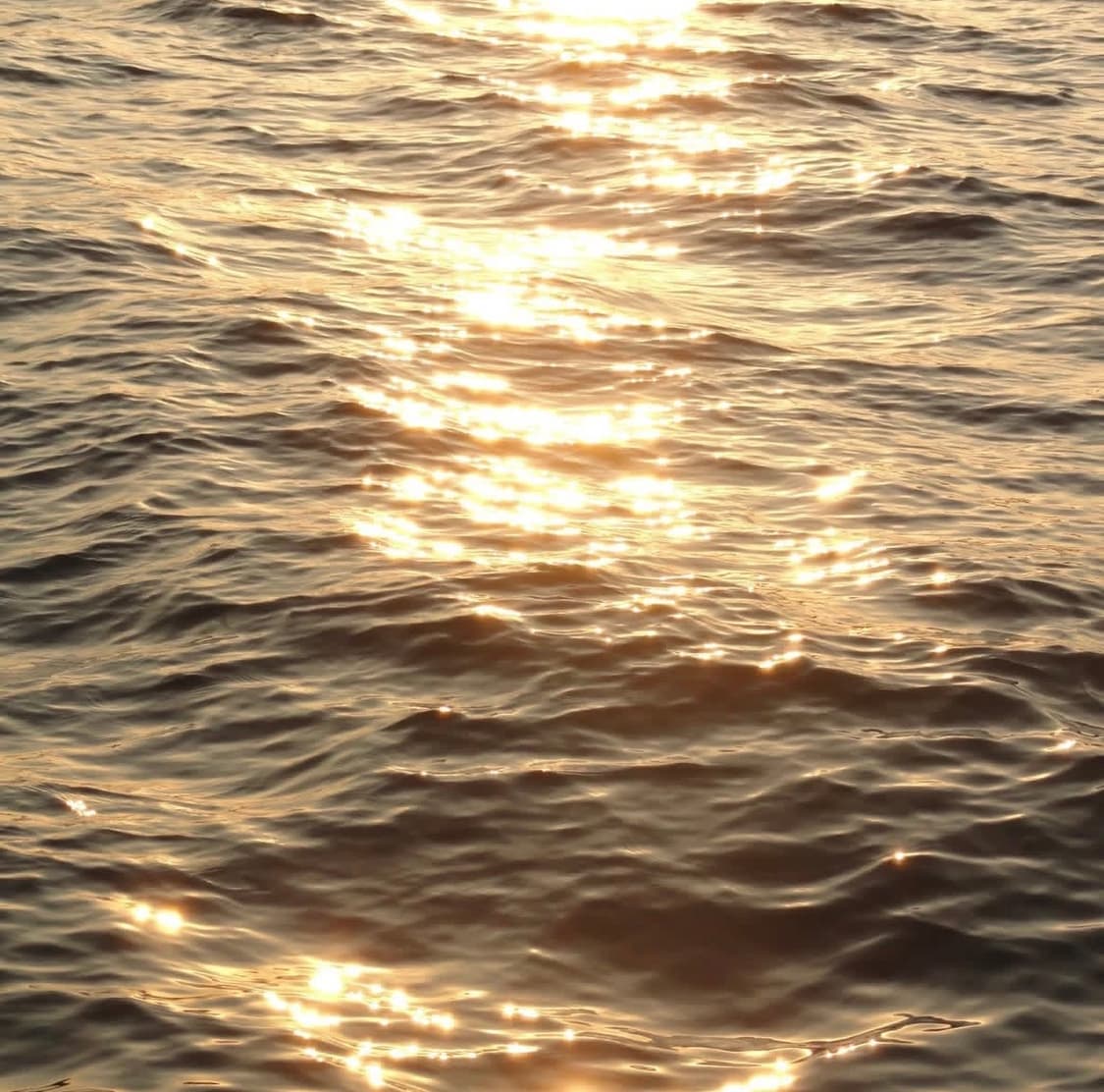 후지필름 파인픽스 Fujifilm FinePix Z800EXR 핑크 디카 상품이미지6