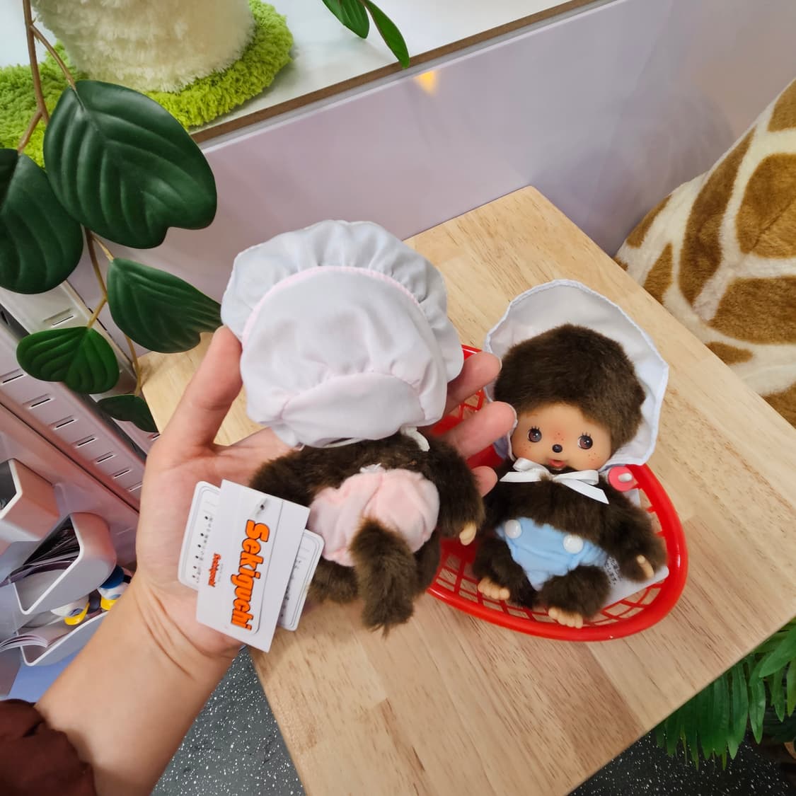 정품몬치치 베이비치치 세트 일괄 상품이미지2