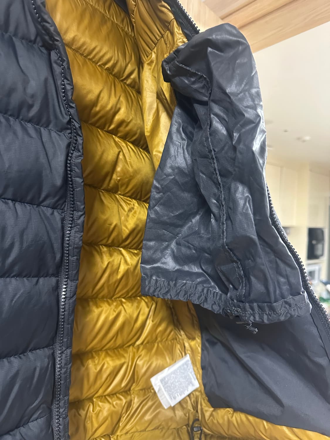 아크테릭스 토륨 AR 후디 24K 상품이미지3