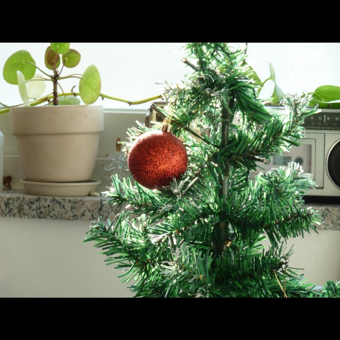 작례⭕️ 파나소닉  루믹스 DMC-TZ1 소프트스킨 ✨빈티지 디카  상품이미지7