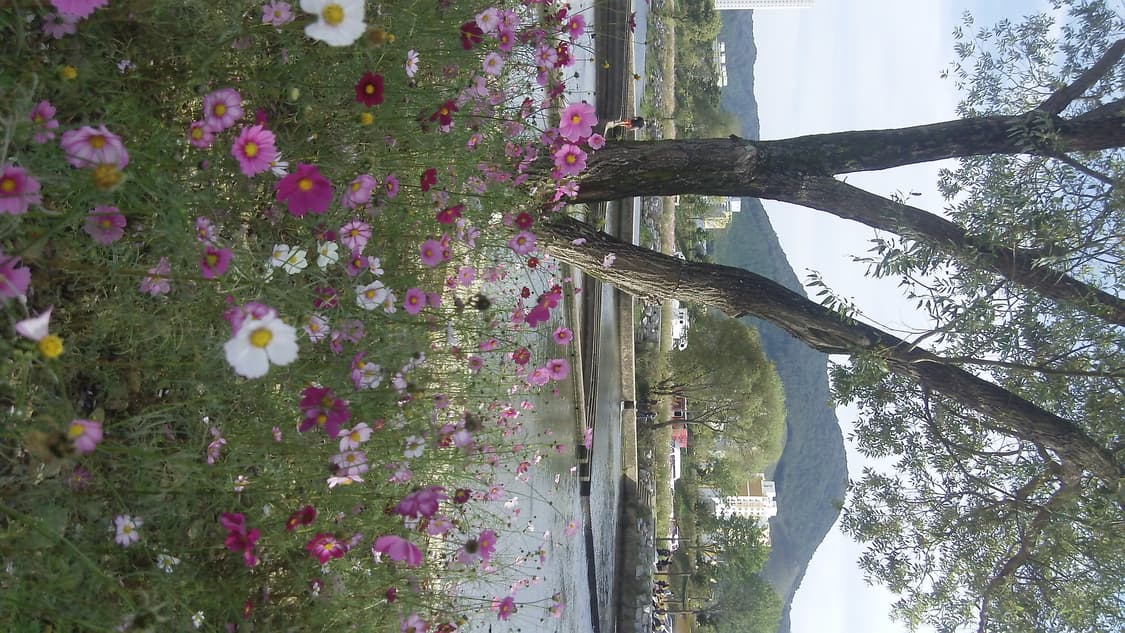 코닥 ZI8 캠코더 카메라 빈티지카메라 빈티지캠코더 디카 상품이미지3