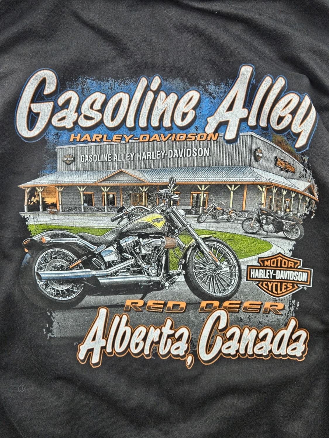 할리데이비슨 캐나다 엘버타 플레임 후드 집업 (2XL추정) / 10933 상품이미지10