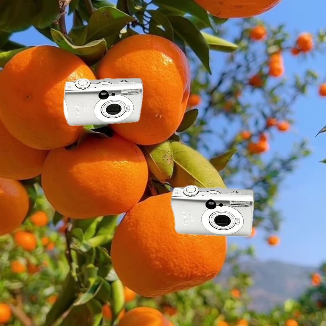 NCT&인물사진!) Canon IXUS 850 IS 디카 카메라 상품이미지1