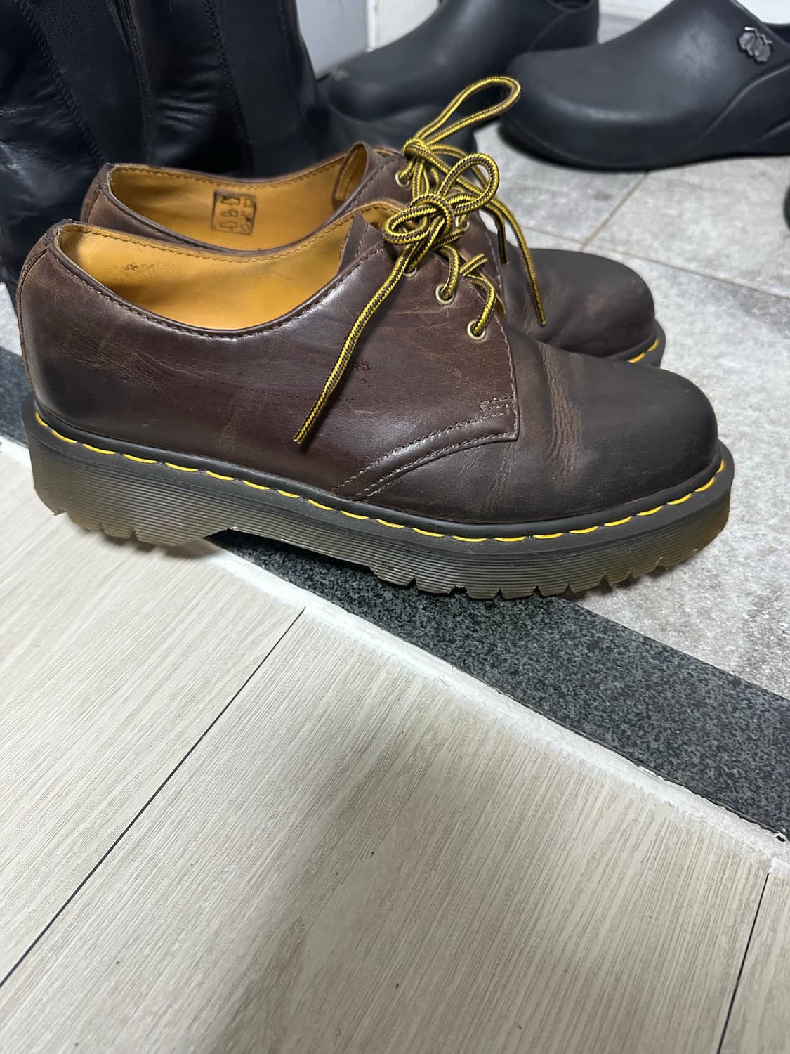 닥마 크레이지홀스 벡스 270 상품이미지4