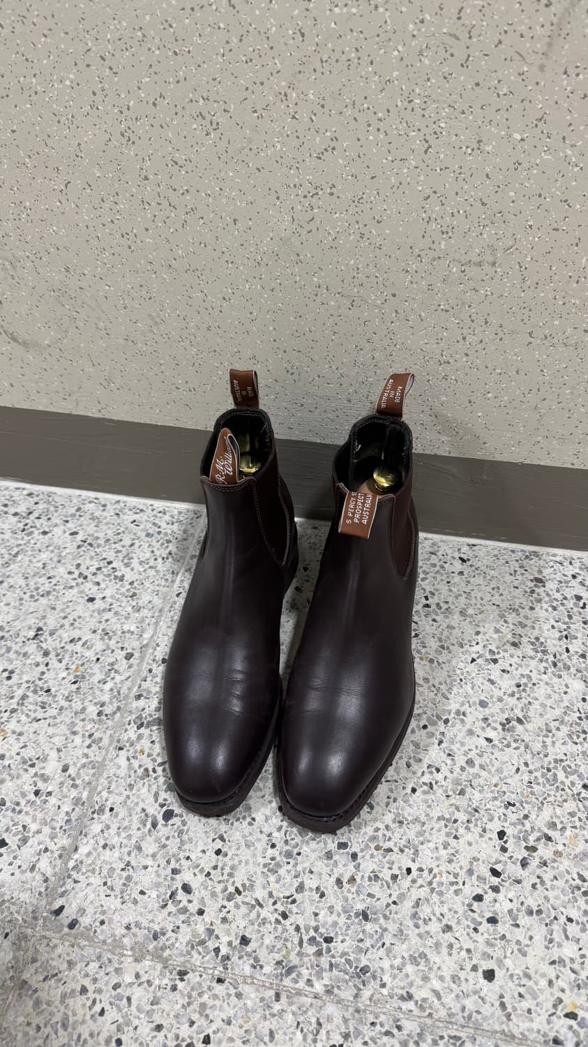 RM WILLIAMS Yearling Chestnut 8G 270 상품이미지1