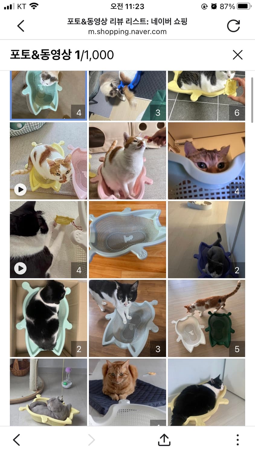 대구 직거래) 🐱🐈캣방 고양이 소쿠리 핑크 새상품 반려동물 상품이미지2