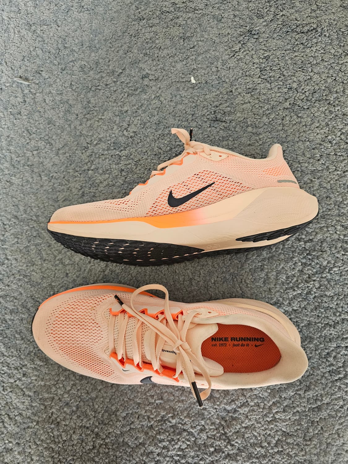 나이 페가수스41  275 상품이미지2