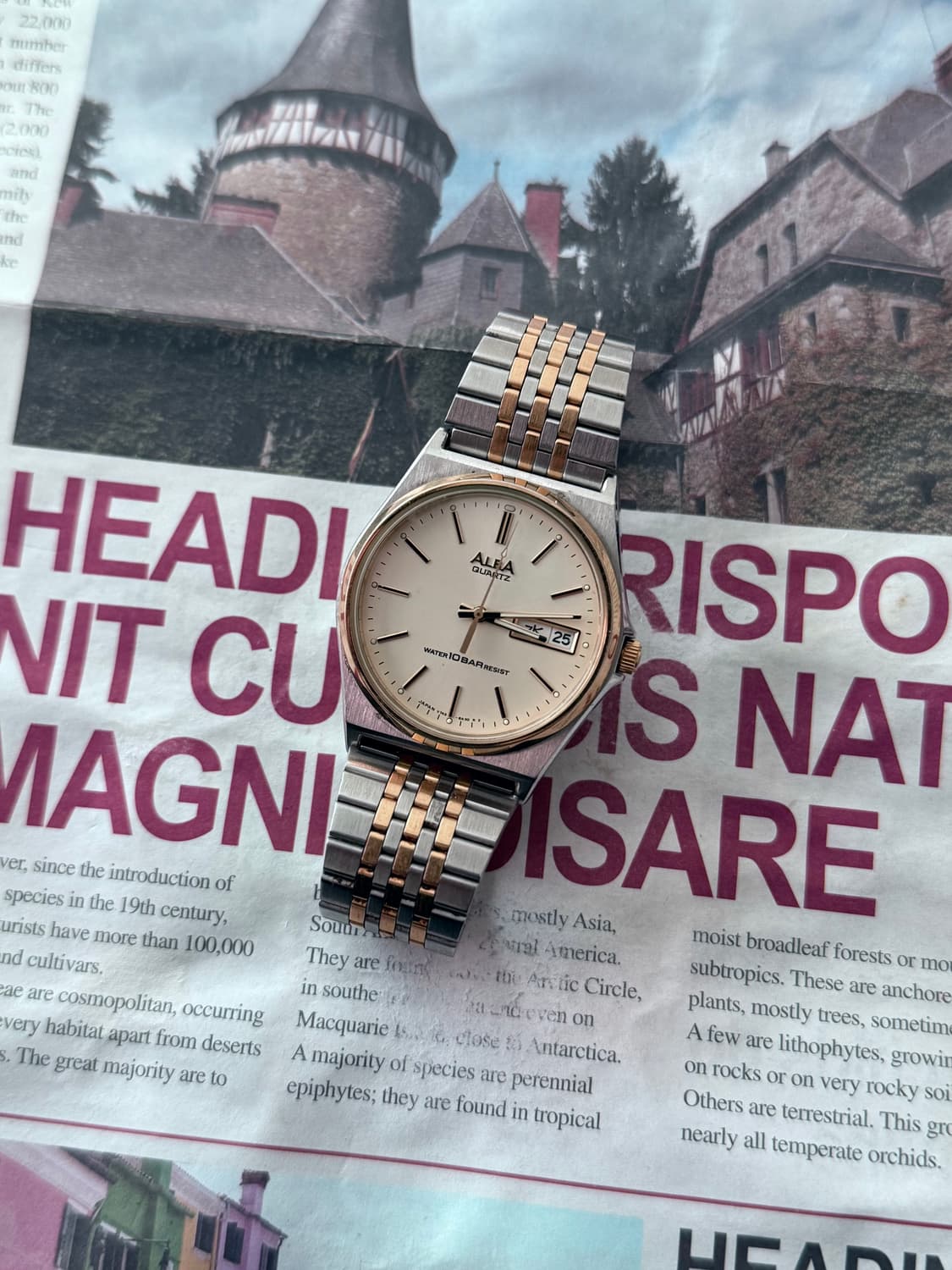 세이코 Seiko ALBA 쿼츠 콤비 데이데이트 상품이미지2