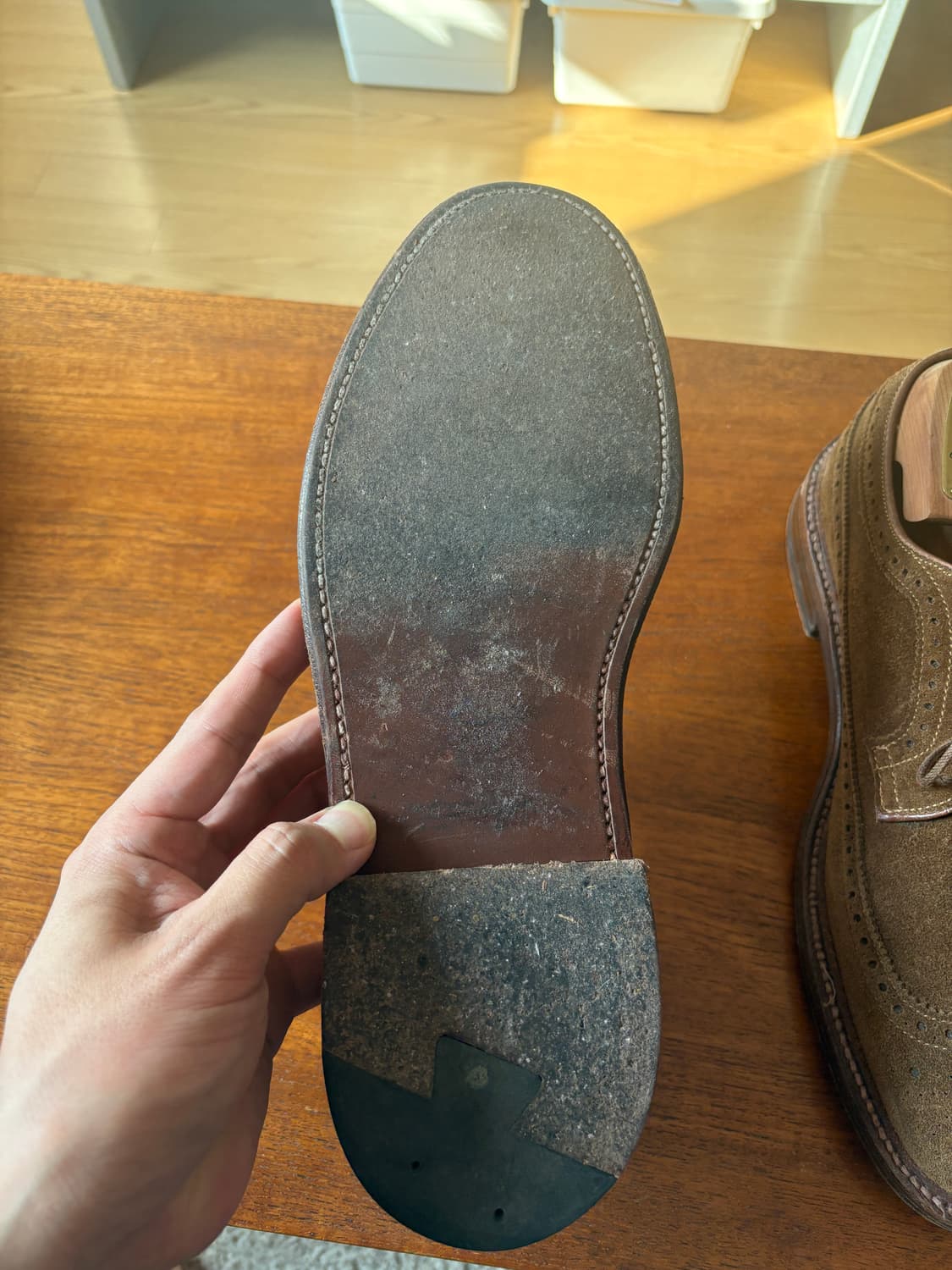 알든 9794 스너프 스웨이드 롱윙 us9D 상품이미지5