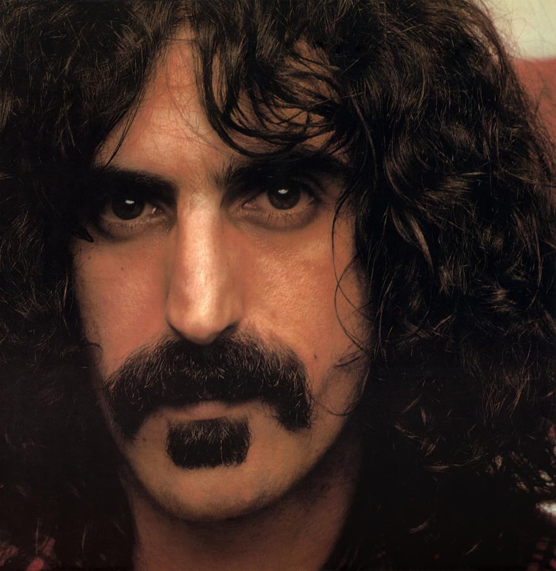 Frank Zappa Tache tee 상품이미지3